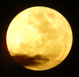 209140_yellow_moon