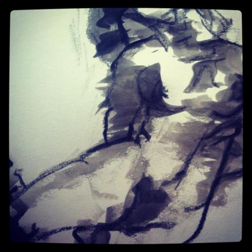 922923_10151883853453098_778670258_n